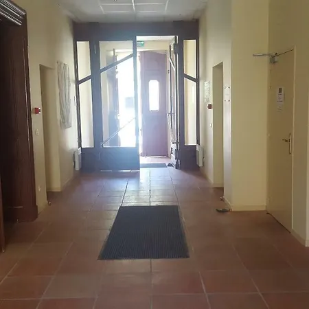 Magnifique T2 Dans Village De Montagne Apartment Aulus-les-Bains